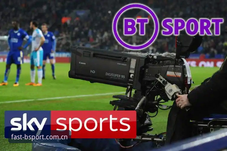 bsport体育官网平台功能详解 BS体育平台功能详解:从入口到体验的全面解析